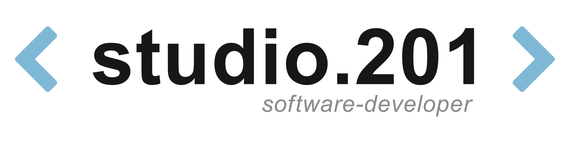studio.201 software-developer